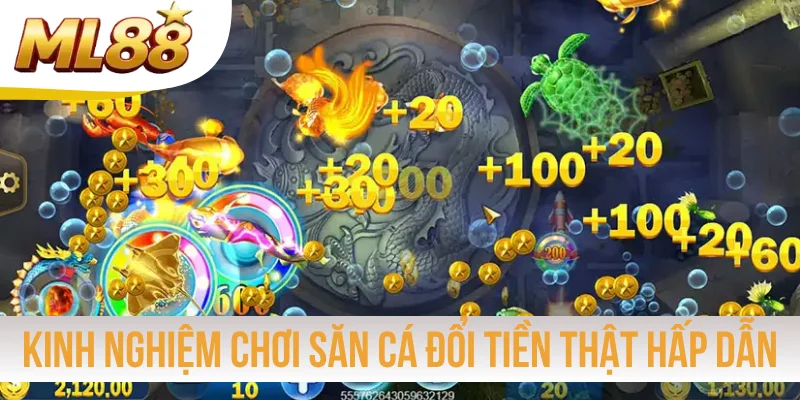 Kinh nghiệm chơi săn cá đổi tiền thật hấp dẫn