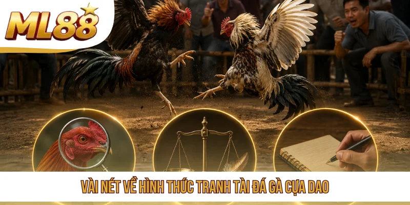 Vài nét về hình thức tranh tài đá gà cựa dao